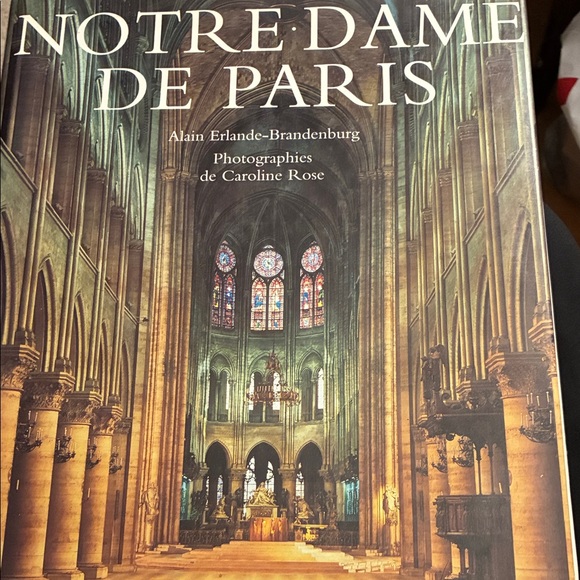 Notre Dame de Paris Book by Alain Erlande-Brandenburg